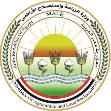 وزير الزراعة يعلن ارتفاع صادرات مصر الزراعية إلى حوالي 4.8 مليون طن حتى الان 
