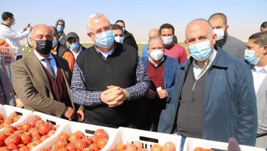 Photo of وزيرا الرى والزراعة يتفقدان مزرعة ومصنع السكر لشركة القنال بمحافظة المنيا