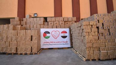 Photo of وزيرة الصحة : إرسال 65 طنًا من الأدوية والمستلزمات الطبية لدعم الأشقاء الفلسطينين بقطاع غزة