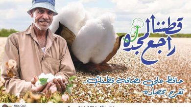 Photo of “قطاع الأعمال”: نجاح منظومة تداول القطن الجديدة.. وإقبال واسع من المزارعين والتجار