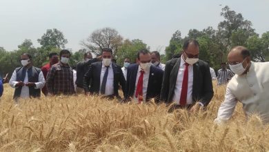 Photo of وزير الزراعة يعلن اعتماد الهند كمنشأ جديد لاستيراد القمح