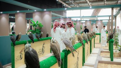 Photo of اختتام فعاليات المزاد الدولي لمزارع إنتاج الصقور في الرياض بمبيعات تجاوزت 8 ملايين ريال