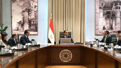 Photo of رئيس الوزراء يتابع جهود دعم صناعة الدواء في السوق المصرية ومؤشرات تطورها